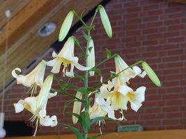 Foto: Dr. Peter Müller